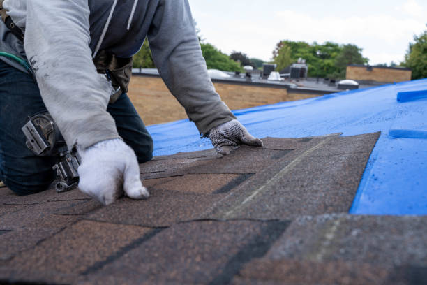 Best Metal Roofing Contractor  in Eielson Af, AK